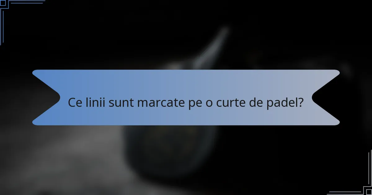 Ce linii sunt marcate pe o curte de padel?